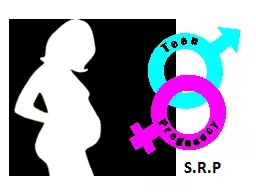 PPT-S.R.P thumbnail
