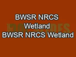 BWSR NRCS Wetland BWSR NRCS Wetland