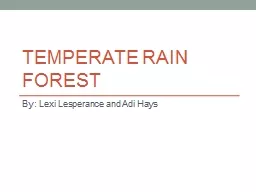 Temperate Rain Forest