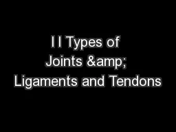 l l Types of Joints & Ligaments and Tendons
