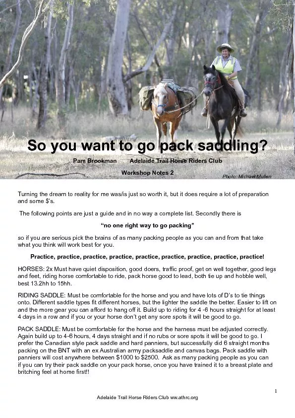 So you want to go pack saddling?
