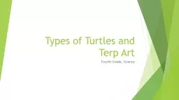 Types of Turtles and