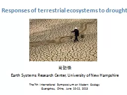 Responses of terrestrial ecosystems to