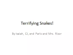 Terrifying Snakes!