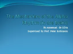 The Mechanism of the Alpha Rhythm (in the brain)