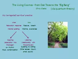 The Living Cosmos - from Oak Trees to the “Big Bang