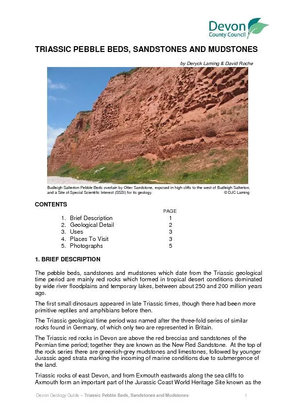 Devon Geology Guide – riassic Pebble Beds, Sandstones and Mudston