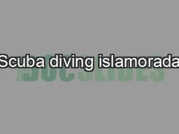Scuba diving islamorada