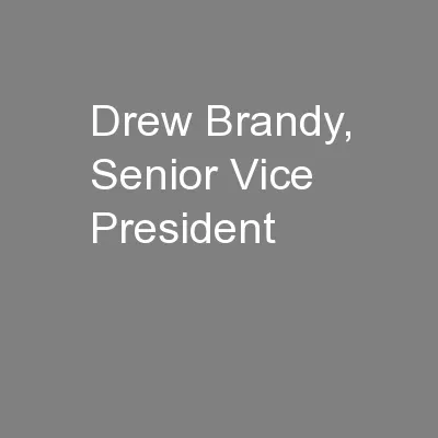 Drew Brandy, Senior Vice President