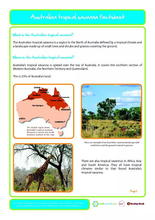 The Australian tropical savanna is a region in the North of Australia