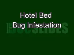 Hotel Bed Bug Infestation