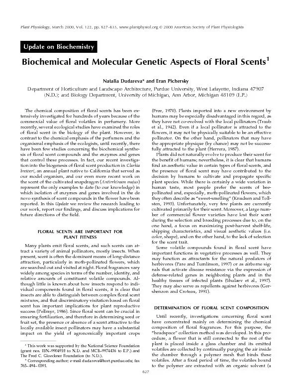 UpdateonBiochemistryBiochemicalandMolecularGeneticAspectsofFloralScent