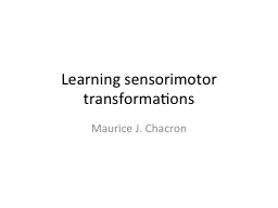 Learning sensorimotor transformations