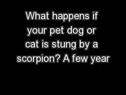 What happens if your pet dog or cat is stung by a scorpion? A few year