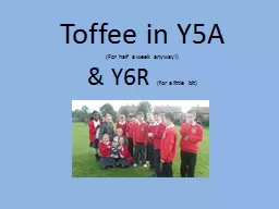 Toffee in Y5A