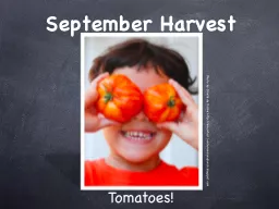 September Harvest