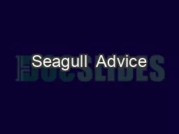 Seagull  Advice