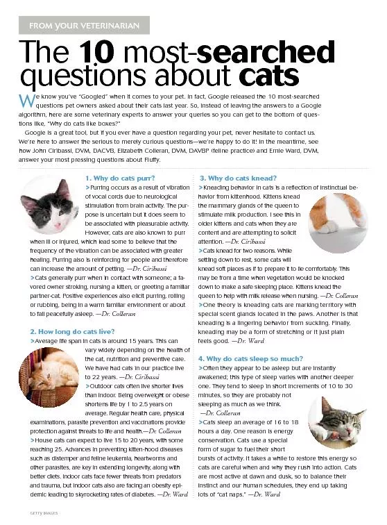 FROM YOUR VETERINARIANThe 10 most-searchedquestions about catse know y