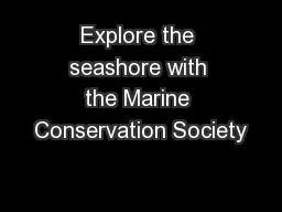 Explore the seashore with the Marine Conservation Society