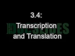 3.4: Transcription and Translation