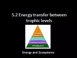5.2 Energy transfer between