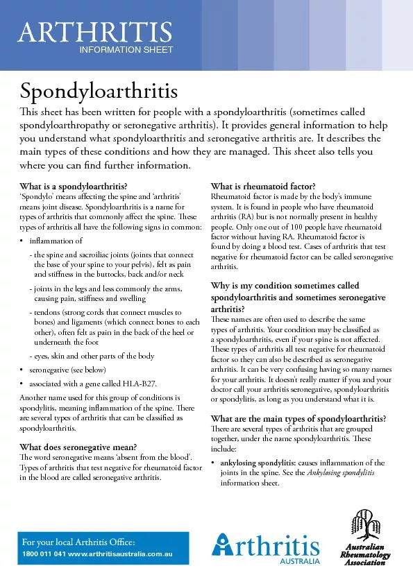What is a spondyloarthritis?‘Spondylo’ means aecting the sp