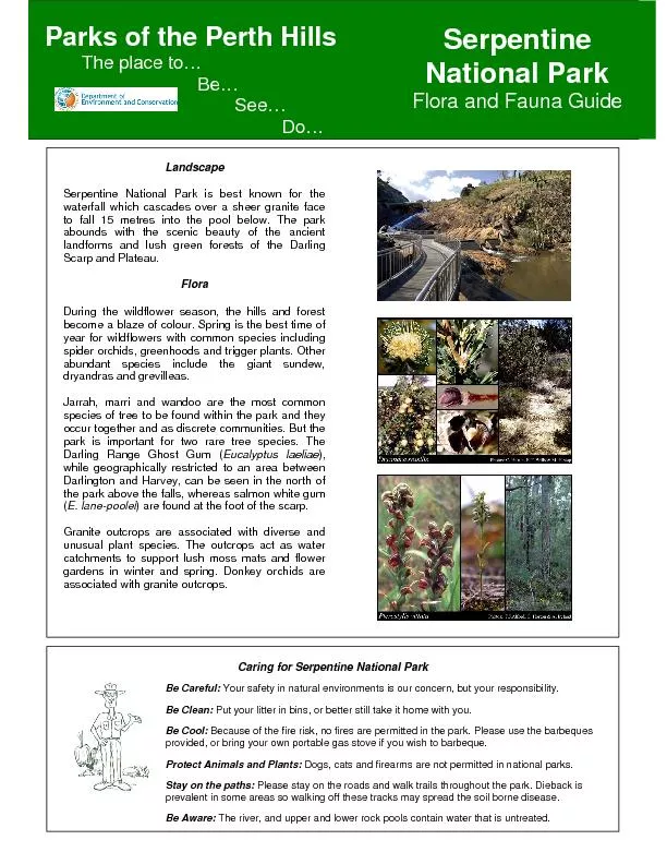 National Park Flora and Fauna Guide