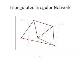 1 Triangulated Irregular Network