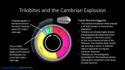 Trilobites and the Cambrian Explosion