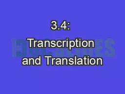 3.4: Transcription and Translation