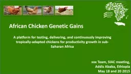 African Chicken Genetic Gains