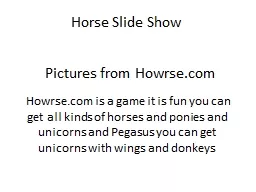 Horse Slide Show