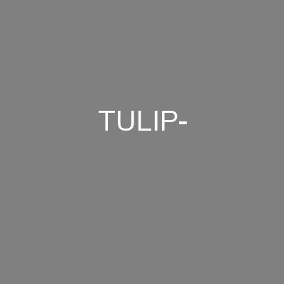 TULIP-