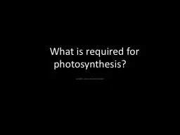 What is required for photosynthesis?
