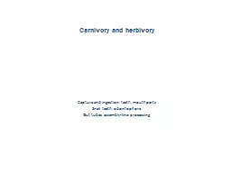 Carnivory