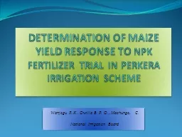 DETERMINATION OF MAIZE YIELD RESPONSE TO