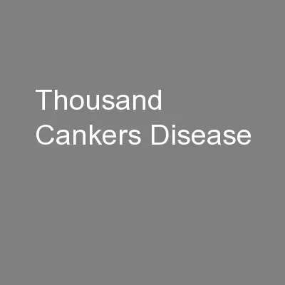 Thousand Cankers Disease