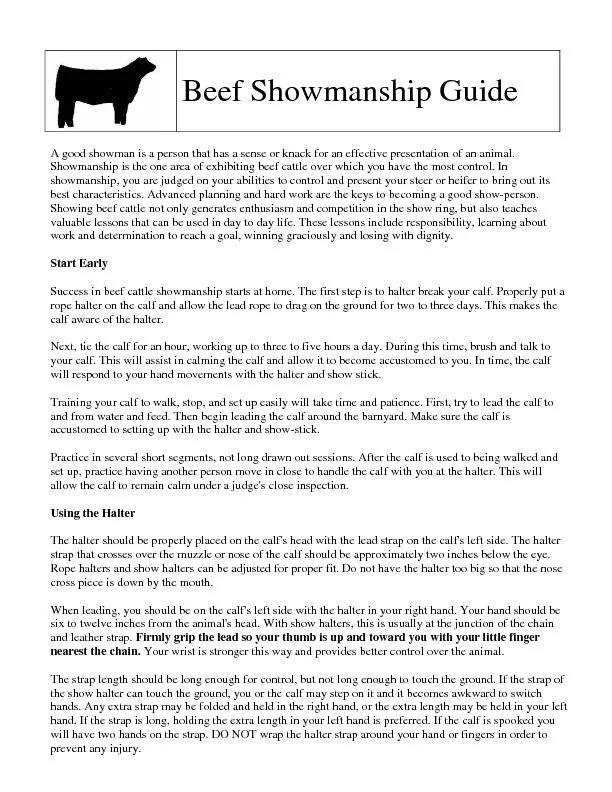 Beef Showmanship Guide