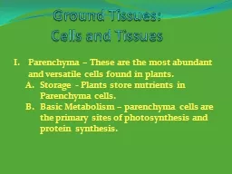 Ground Tissues: Cells and Tissues