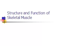 Structure and Function of Skeletal Muscle
