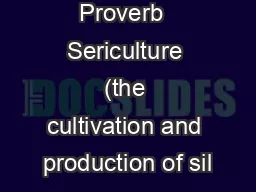 -- Chinese Proverb  Sericulture (the cultivation and production of sil