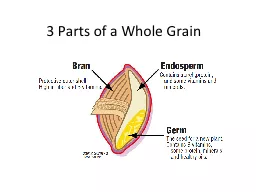 3 Parts of a Whole Grain