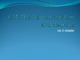 C34: The Nervous System and Neurons