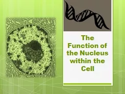 The Function of the Nucleus within the Cell