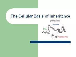 The Cellular Basis of Inheritance