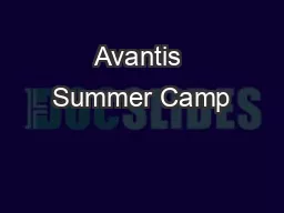 Avantis Summer Camp