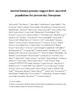 presentday Europeans Ancient human genomes suggest three ancestral populations f