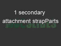 1 secondary attachment strapParts