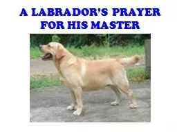 A LABRADOR’S PRAYER FOR HIS MASTER