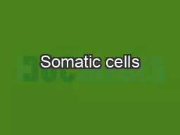 Somatic cells